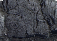 Three birds giant bas-reliefs discovered